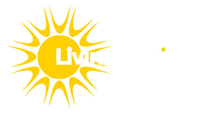 Living Options Devon homepage link