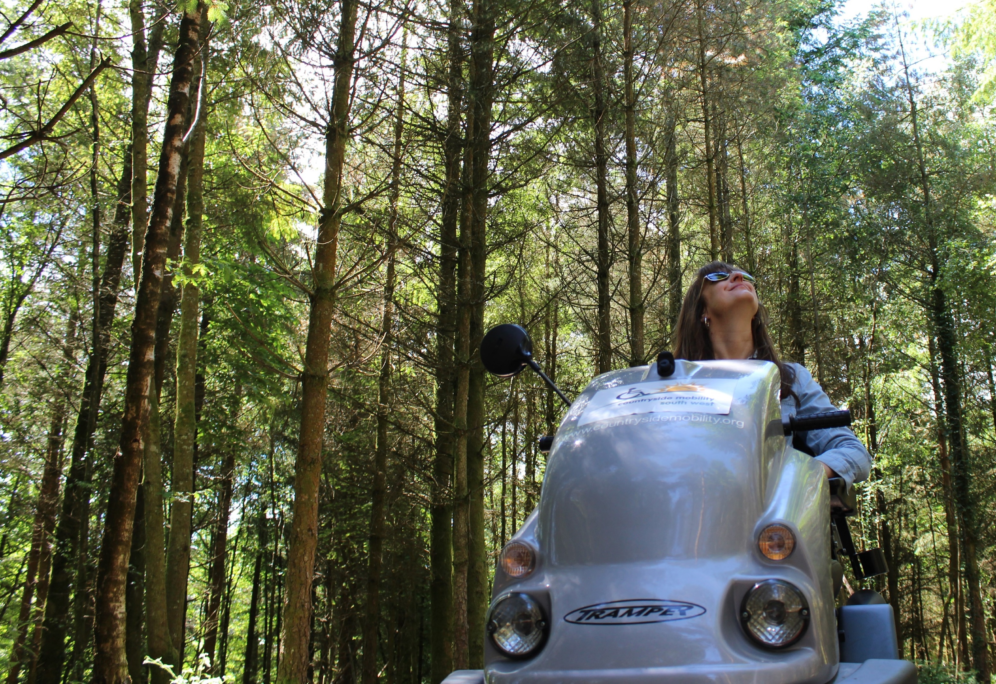 Woman staring at trees