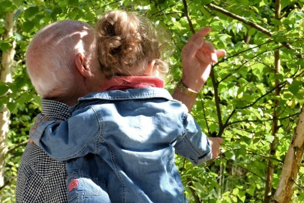 Grandfather holding his grandaughter in the garden looking at the leaves on a tree, it is a bright and sunny day