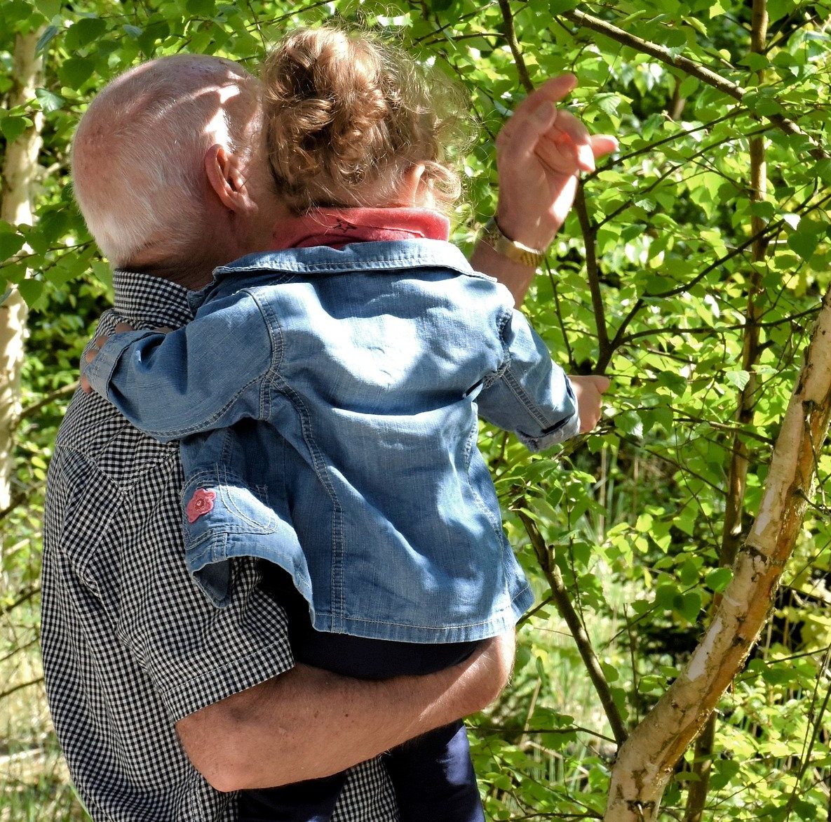 Grandfather holding his grandaughter in the garden looking at the leaves on a tree, it is a bright and sunny day