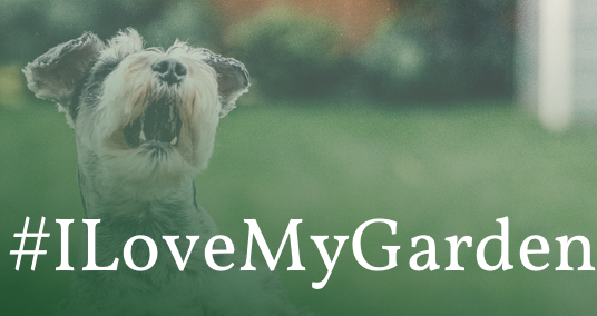 dog in the garden with the words #ILoveMyGarden