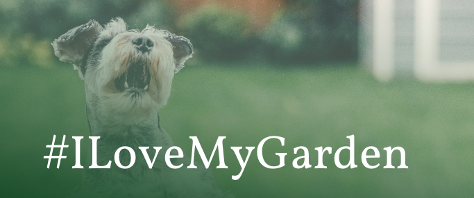 a dog in the garden with the words #ILoveMyGarden