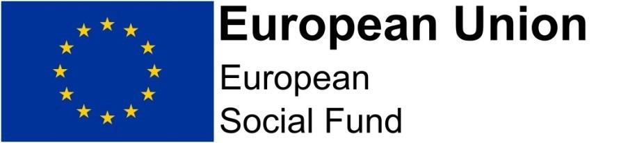 European Union Social Fund logo