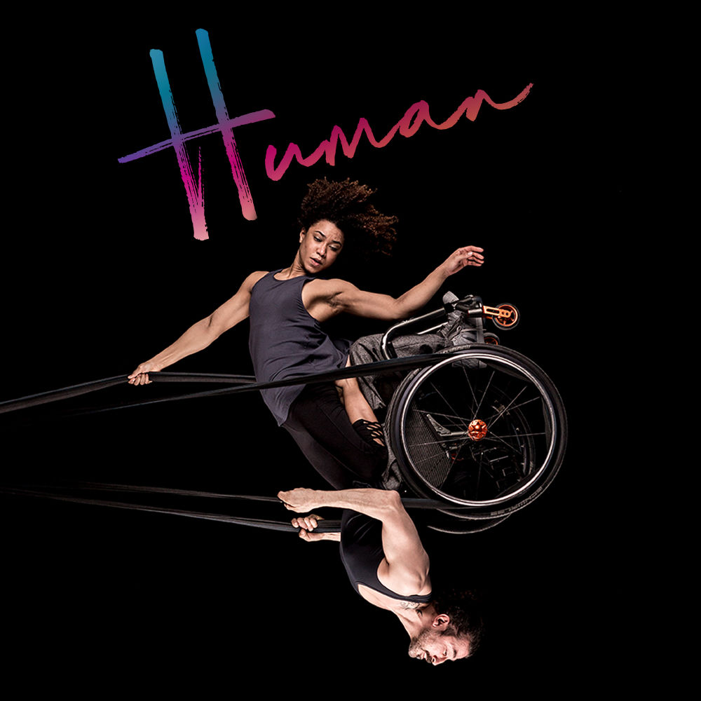 Black background. A woman and a man swinging in the air like a pendulum, looking powerful and graceful. They share a wheelchair which is held up in the air by black circus straps. She has frizzy brown hair, muscular arms and wears a grey tank top. She is kneeling on his thighs and one of her arms holds the straps above her head, while the other points down towards the floor. He has a neatly trimmed brown beard, muscular arms and wears a black tank top. He holds the straps to the sides of his chest with both hands. The image captures them at the highest point of the swing: to our right, bringing the man to an upside- down position with the woman above him. Their bodies are doing something hard, but their strength makes it look effortless.