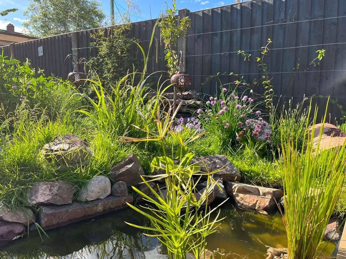garden photo with flowers and pond