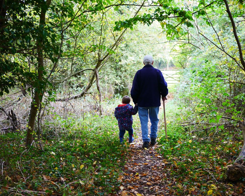 Two generation walk hand in hand along a woodland path. An older person holds a stick and the young child's hand