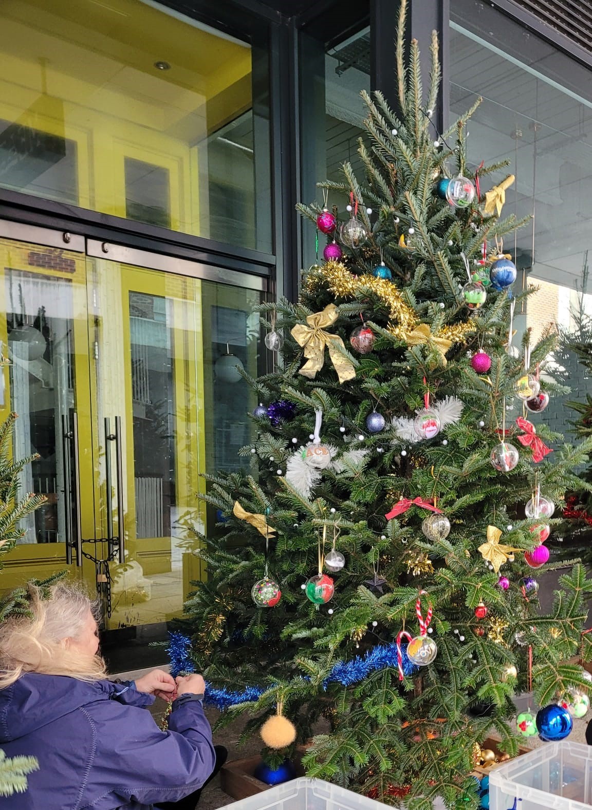 A chrsitmas tree gets decorated in colourful baubles